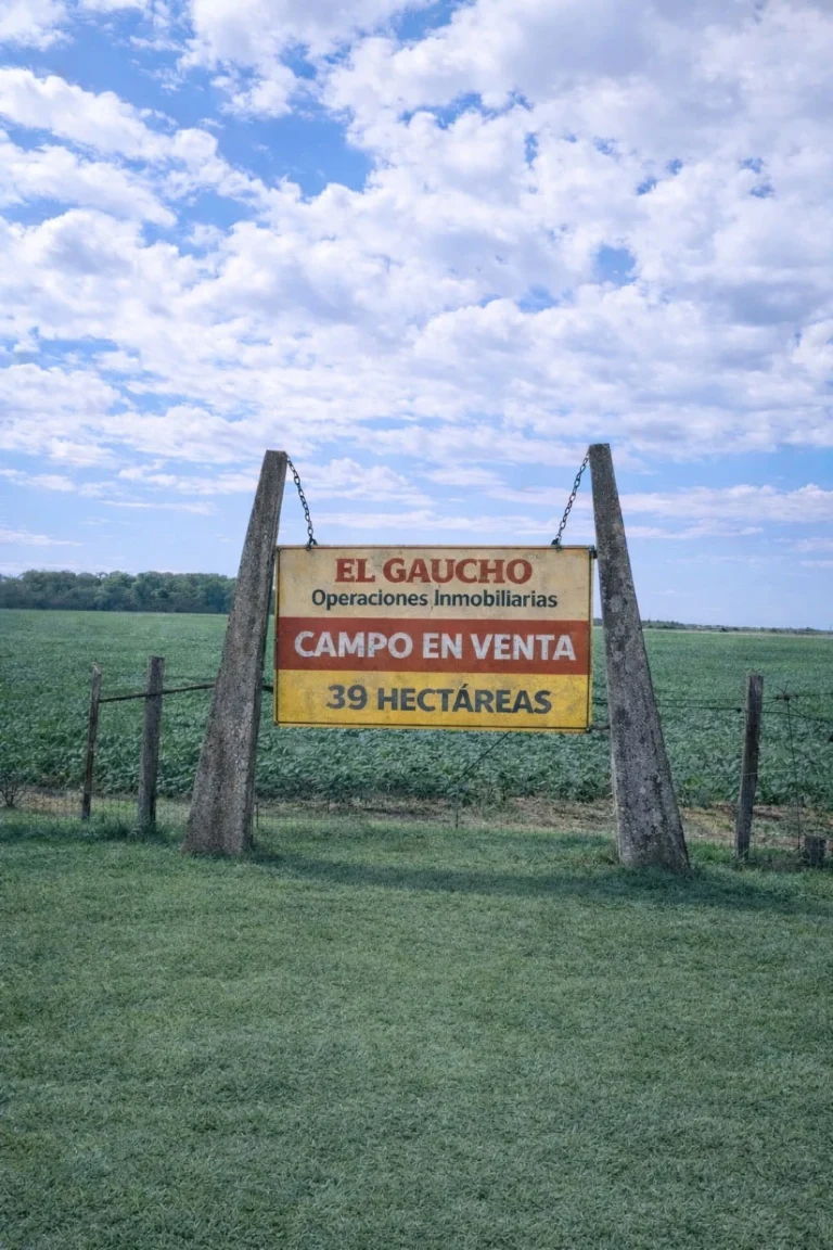 campo agricola 39 ha en venta
