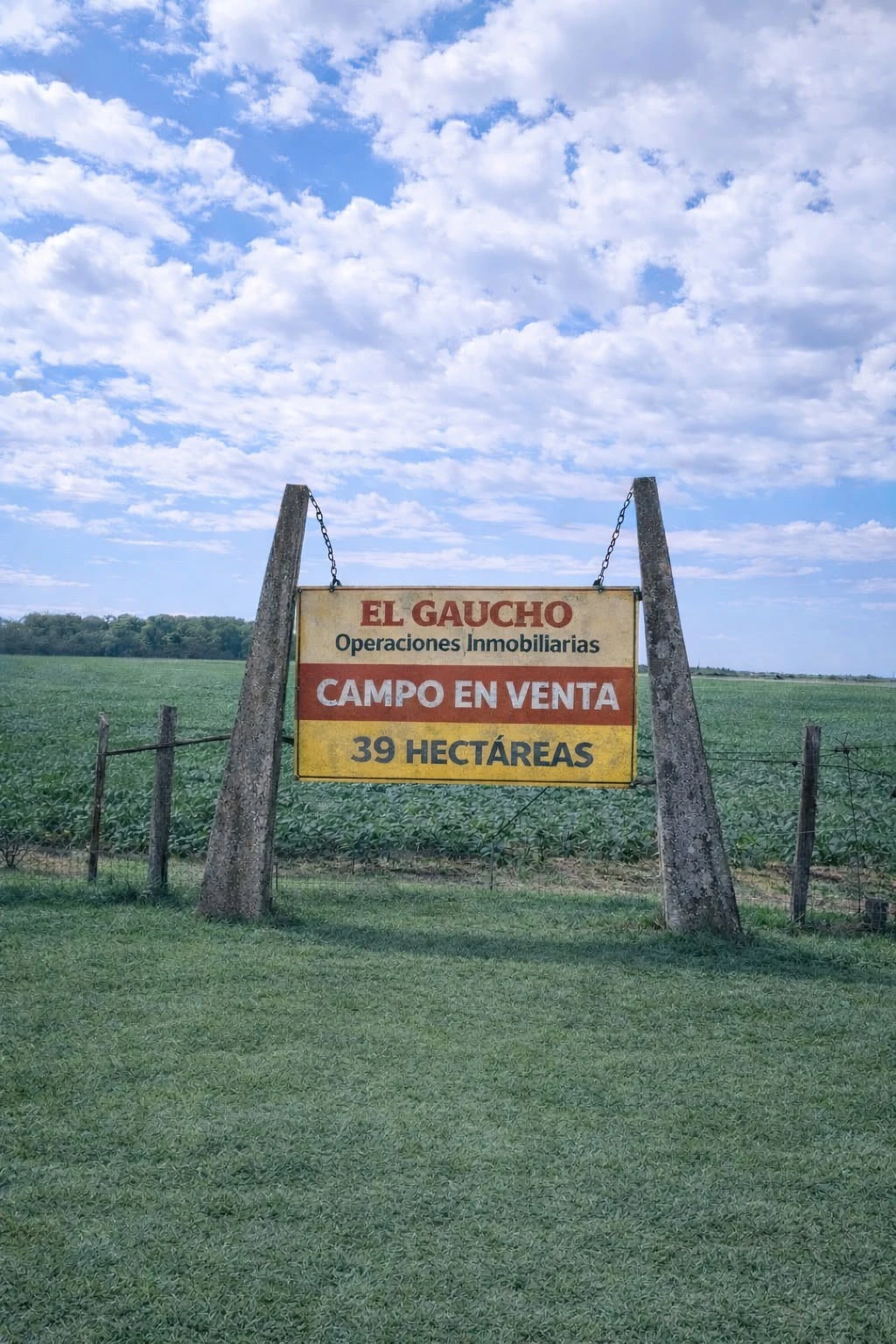 Campo Agrícola 39 ha – Arroyo Seco